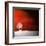 Sensation in Red-Philippe Sainte-Laudy-Framed Premium Photographic Print