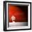 Sensation in Red-Philippe Sainte-Laudy-Framed Premium Photographic Print