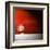 Sensation in Red-Philippe Sainte-Laudy-Framed Premium Photographic Print