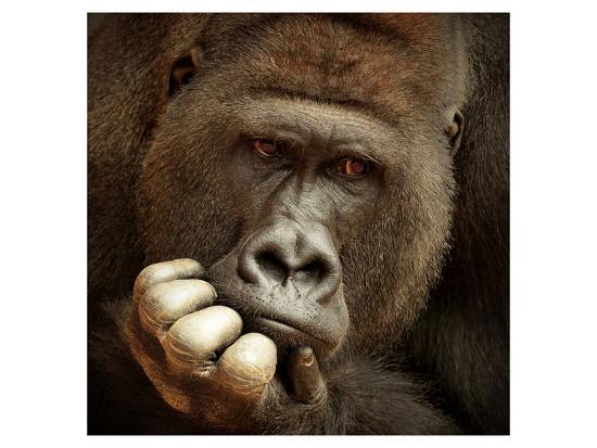 Premium Giclee Print, , large