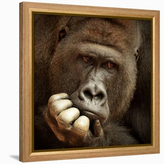 Sense of Life ...-Antje Wenner-Framed Premier Image Canvas