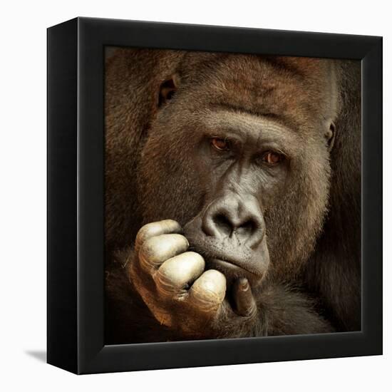 Sense of Life ...-Antje Wenner-Framed Premier Image Canvas