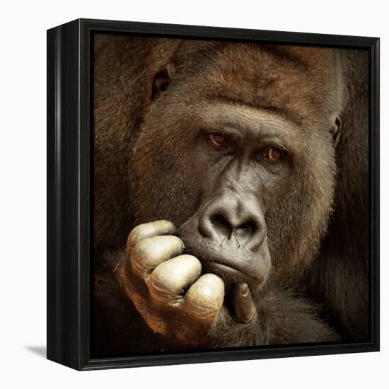 Sense of Life ...-Antje Wenner-Framed Premier Image Canvas