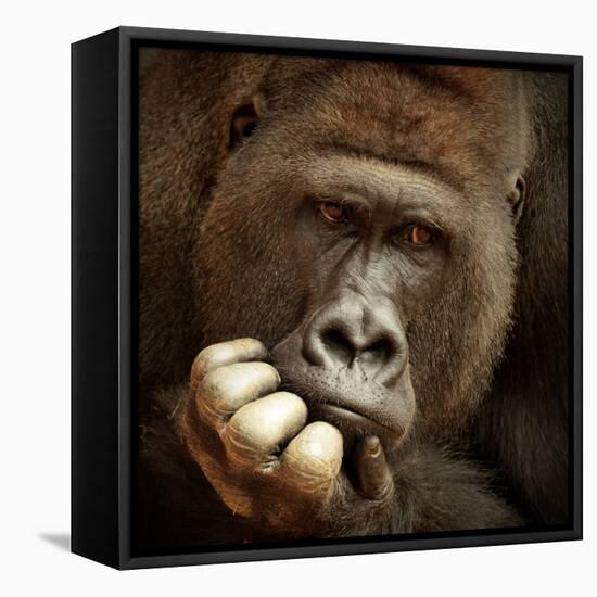 Sense of Life ...-Antje Wenner-Framed Premier Image Canvas