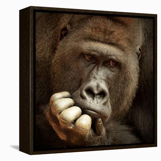 Sense of Life ...-Antje Wenner-Framed Premier Image Canvas