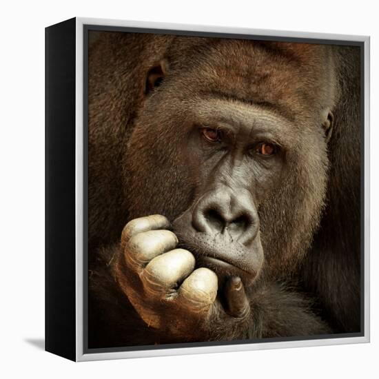 Sense of Life ...-Antje Wenner-Framed Premier Image Canvas