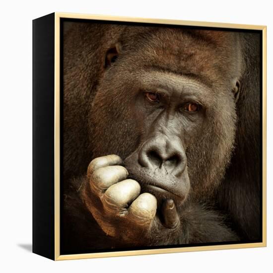 Sense of Life ...-Antje Wenner-Framed Premier Image Canvas