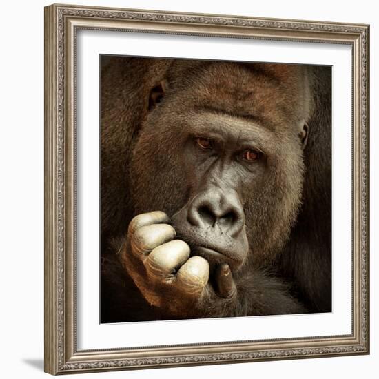 Sense of Life ...-Antje Wenner-Framed Photographic Print