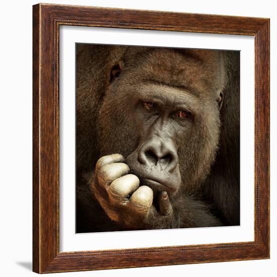 Sense of Life ...-Antje Wenner-Framed Photographic Print