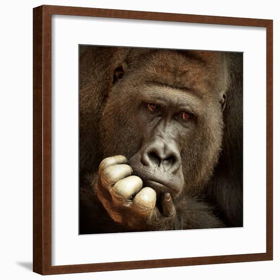 Sense of Life ...-Antje Wenner-Framed Photographic Print