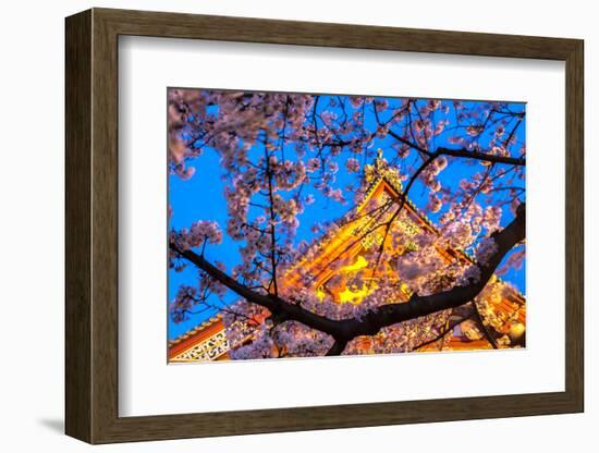 Sensi-Ji Temple in Tokyo at Night, Seen Through Cherry Blossom, Tokyo, Japan, Asia-Martin Child-Framed Photographic Print