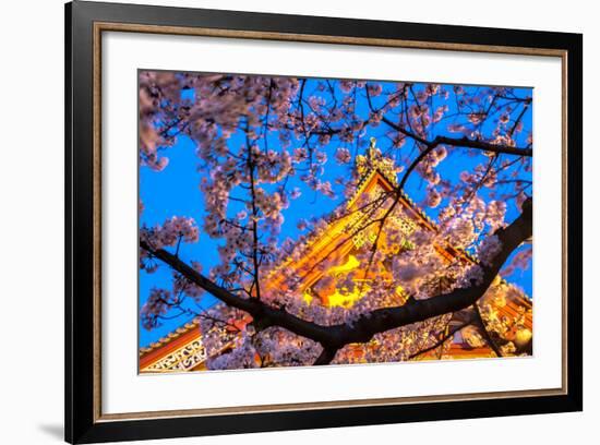 Sensi-Ji Temple in Tokyo at Night, Seen Through Cherry Blossom, Tokyo, Japan, Asia-Martin Child-Framed Photographic Print