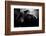 Sensuality-Martin Krystynek-Framed Photographic Print