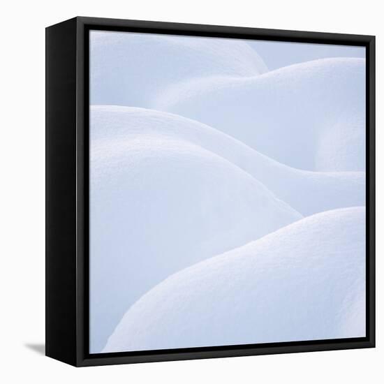Sensuous Snow-Doug Chinnery-Framed Premier Image Canvas