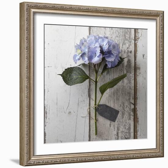 Sent with Love I-Camille Soulayrol-Framed Giclee Print