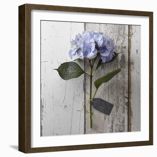 Sent with Love I-Camille Soulayrol-Framed Giclee Print