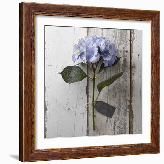 Sent with Love I-Camille Soulayrol-Framed Giclee Print