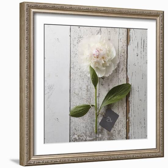 Sent with Love II-Camille Soulayrol-Framed Giclee Print