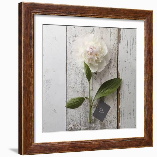 Sent with Love II-Camille Soulayrol-Framed Giclee Print