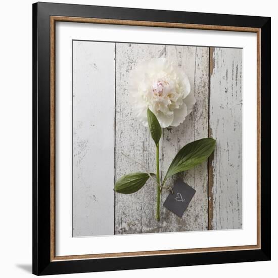 Sent with Love II-Camille Soulayrol-Framed Giclee Print