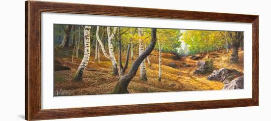 Sentiero nel bosco-Adriano Galasso-Framed Art Print
