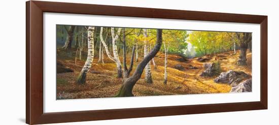 Sentiero nel bosco-Adriano Galasso-Framed Art Print