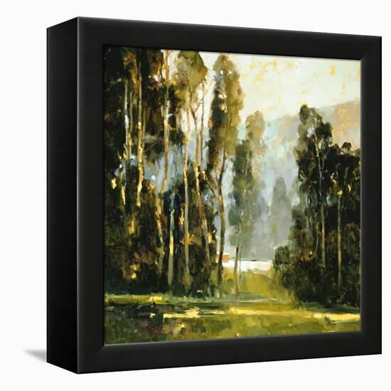 Sentine's-Ted Goerschner-Framed Premier Image Canvas