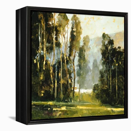 Sentine's-Ted Goerschner-Framed Premier Image Canvas