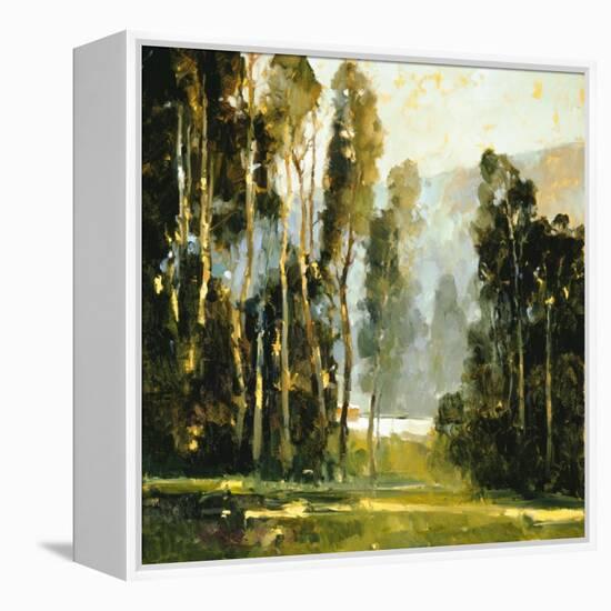 Sentine's-Ted Goerschner-Framed Premier Image Canvas