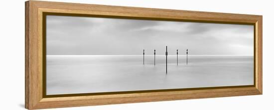 Sentinels-Doug Chinnery-Framed Premier Image Canvas