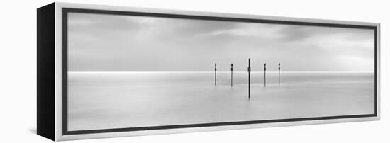 Sentinels-Doug Chinnery-Framed Premier Image Canvas