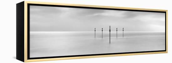 Sentinels-Doug Chinnery-Framed Premier Image Canvas