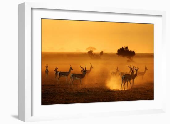 Sentinels-Mathilde Guillemot-Framed Photographic Print