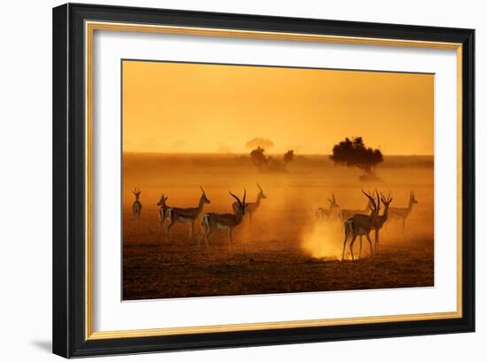 Sentinels-Mathilde Guillemot-Framed Photographic Print