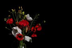 Wild Flowers in a Glass Vase-Sentir y Viajar-Photographic Print