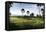 Sentul City Golf Estate-Ferry Tan-Framed Premier Image Canvas