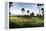 Sentul City Golf Estate-Ferry Tan-Framed Premier Image Canvas