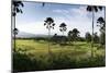 Sentul City Golf Estate-Ferry Tan-Mounted Photographic Print