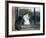 Separated by a Pane of Glass, a White Cat Tries to Play with a Black Cat-null-Framed Photographic Print