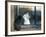 Separated by a Pane of Glass, a White Cat Tries to Play with a Black Cat-null-Framed Photographic Print