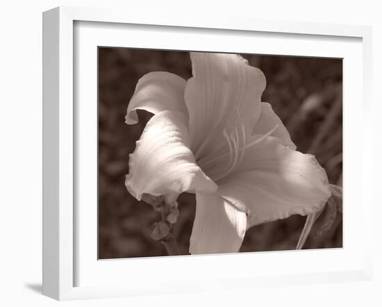 Sepia 1-Gordon Semmens-Framed Photographic Print