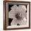 Sepia 2-Gordon Semmens-Framed Photographic Print