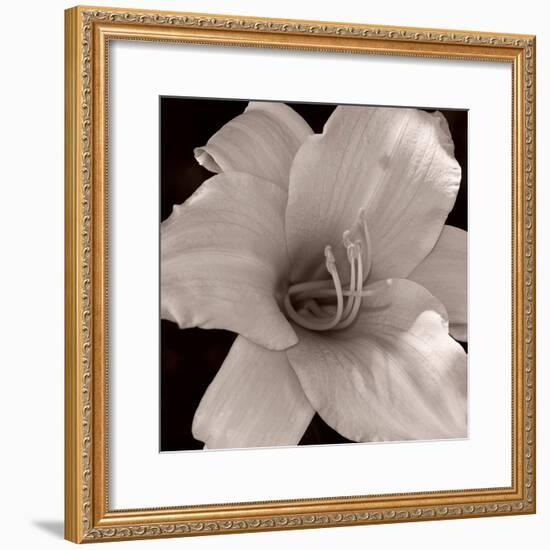 Sepia 2-Gordon Semmens-Framed Photographic Print