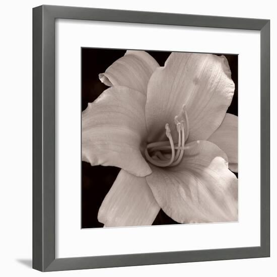 Sepia 2-Gordon Semmens-Framed Photographic Print