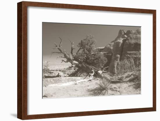Sepia Arches 3-Gordon Semmens-Framed Photographic Print