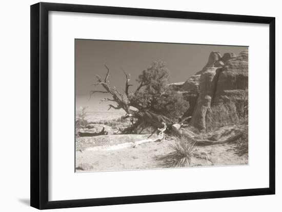 Sepia Arches 3-Gordon Semmens-Framed Photographic Print