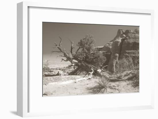 Sepia Arches 3-Gordon Semmens-Framed Photographic Print