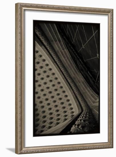 Sepia Architecture V-Tang Ling-Framed Photographic Print