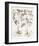 Sepia Besler Botanicals V-Basilius Besler-Framed Art Print