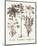 Sepia Besler Botanicals VI-Basilius Besler-Mounted Art Print